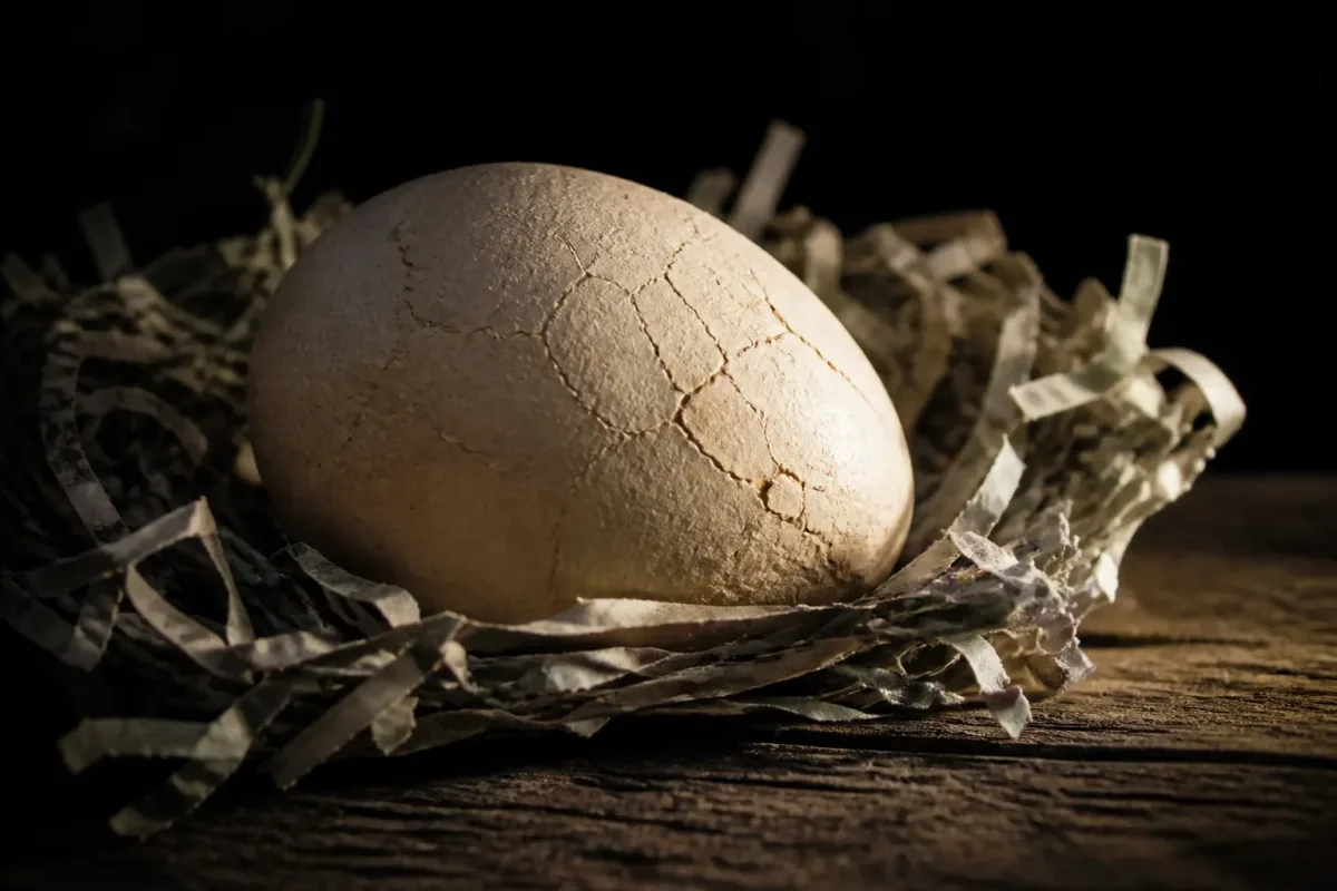 Gonron Egg s’arrête au chapitre 21, cinq mois après son lancement